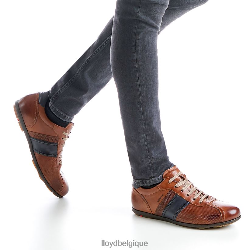 LLOYD barette Hommes brun 4Z6Z66354 chaussures