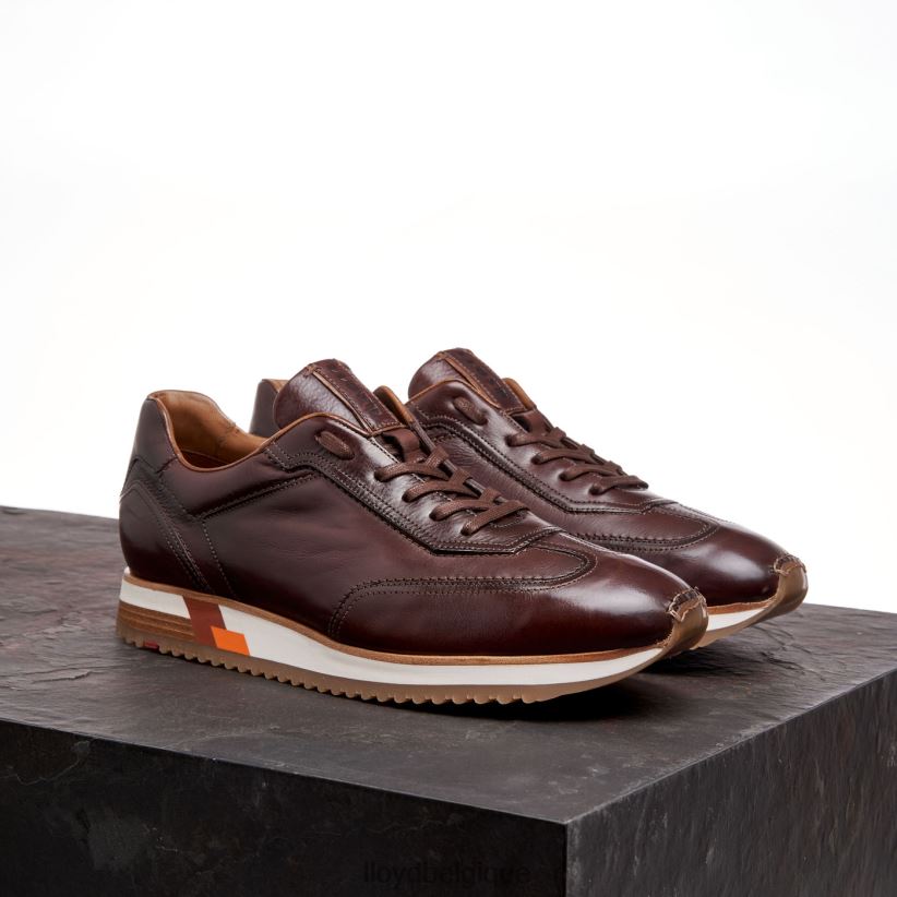 LLOYD blake Hommes brun 4Z6Z66325 chaussures