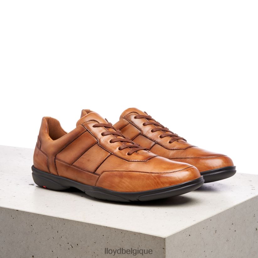 LLOYD bloy Hommes brun 4Z6Z66375 chaussures