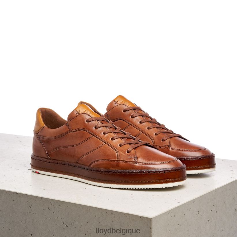 LLOYD brûlure noire Hommes brun 4Z6Z66440 chaussures