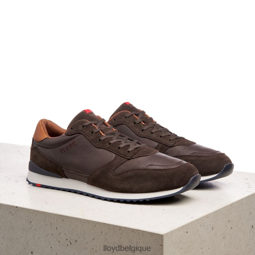 LLOYD edmond Hommes brun 4Z6Z66401 chaussures