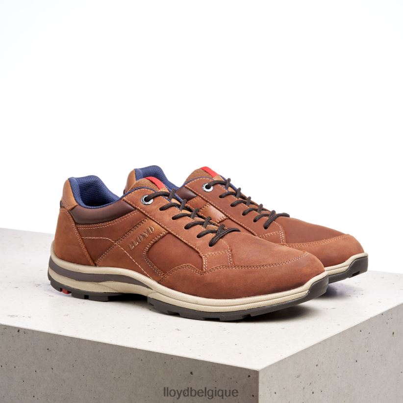 LLOYD ensor Hommes brun 4Z6Z66394 chaussures