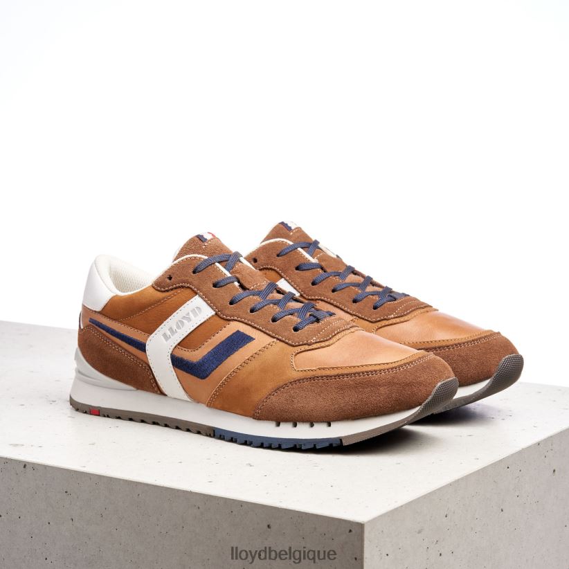 LLOYD Élio Hommes brun 4Z6Z66381 chaussures