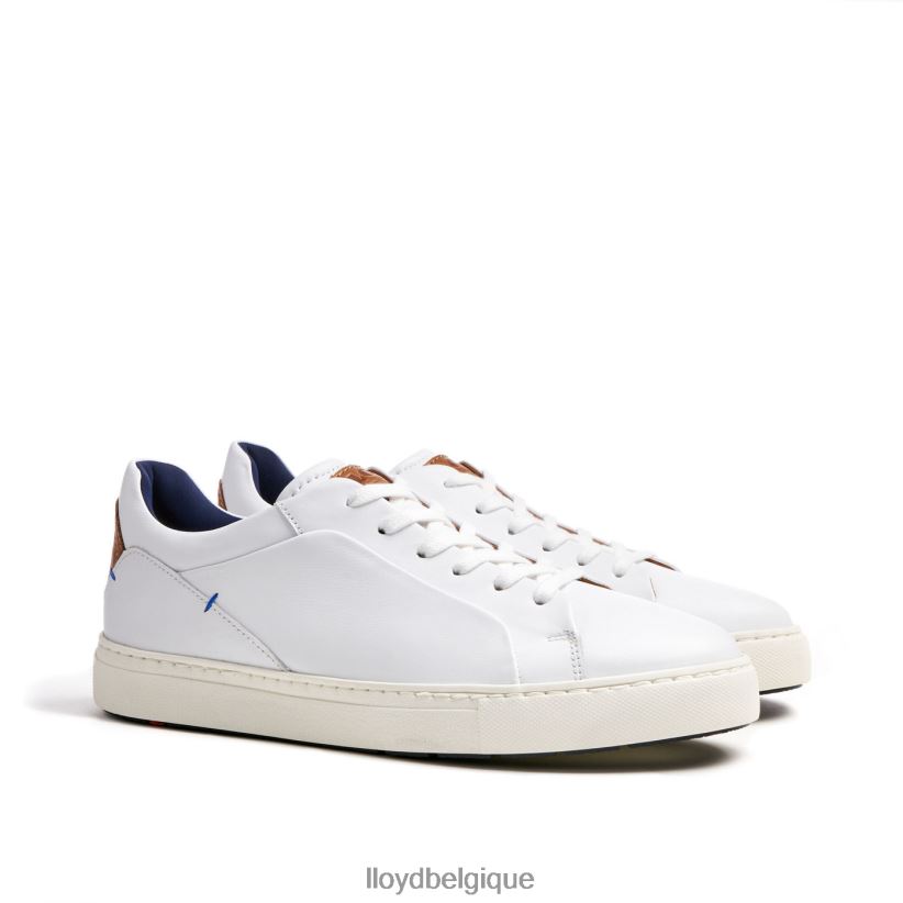 LLOYD majeur Hommes blanc 4Z6Z66256 chaussures