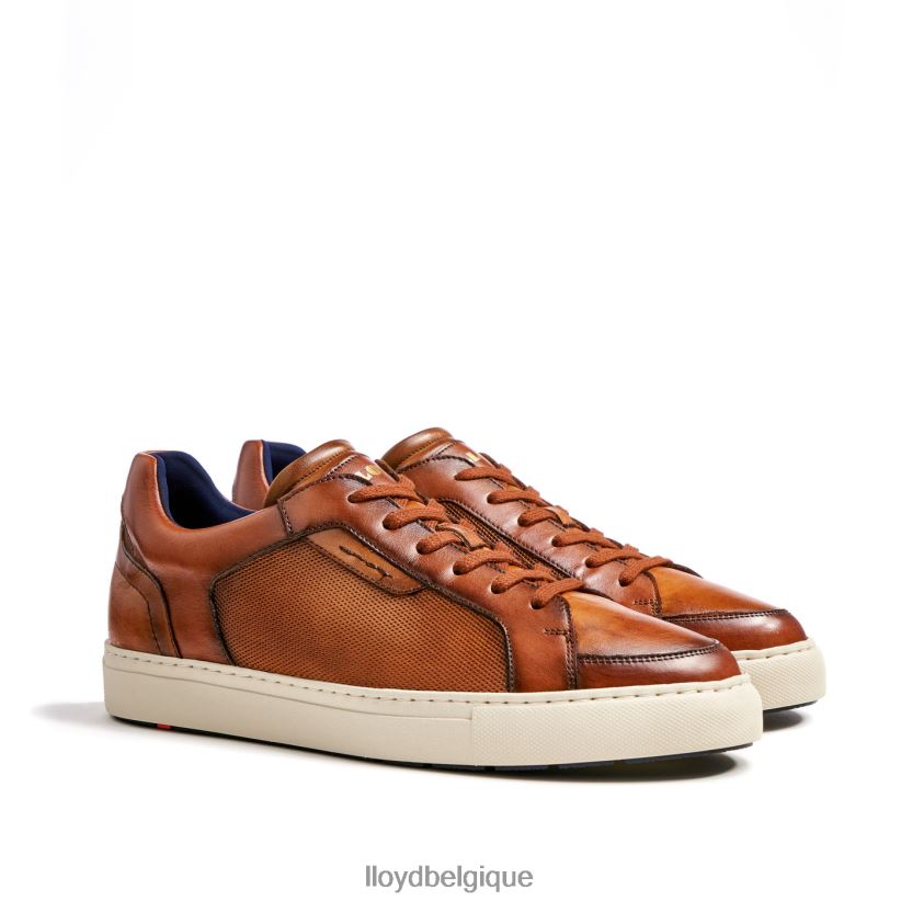 LLOYD malaga Hommes brun 4Z6Z661327 chaussures