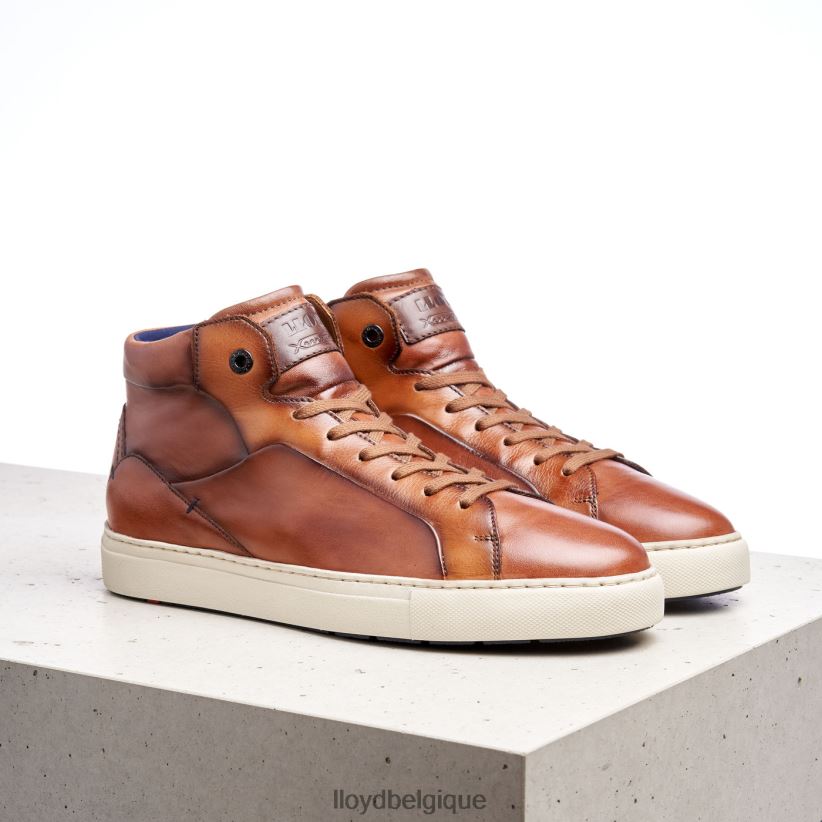 LLOYD maréchal Hommes brun 4Z6Z66254 chaussures