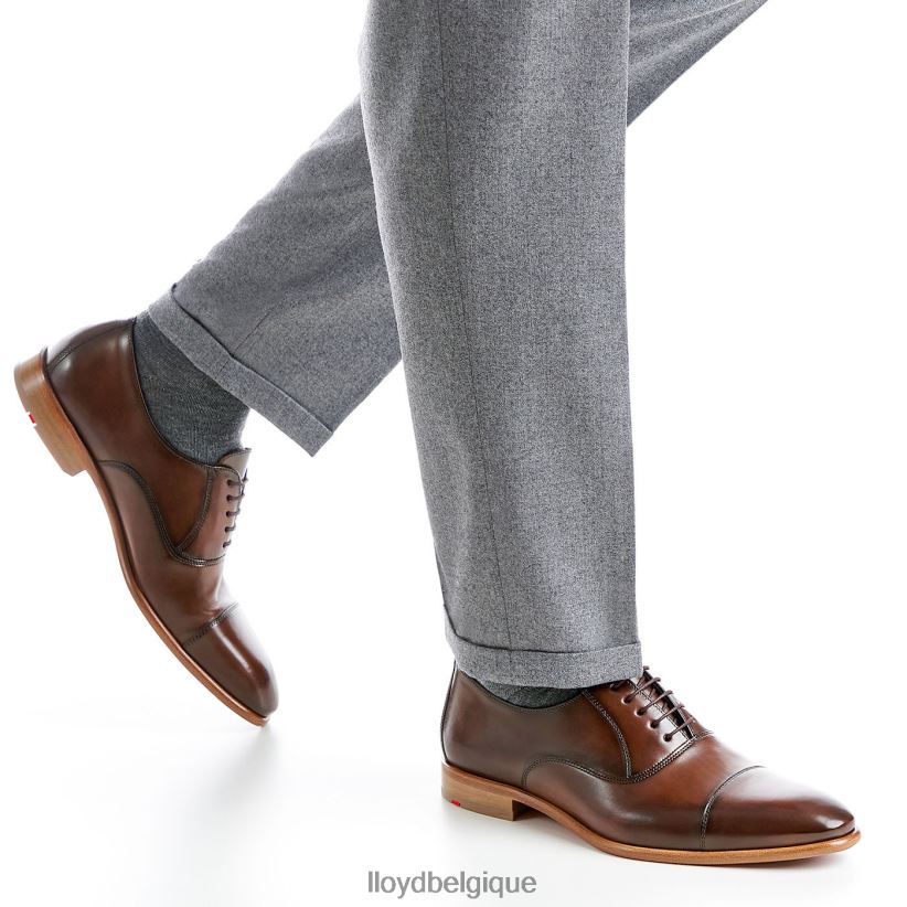 LLOYD parc Hommes brun 4Z6Z66156 chaussures